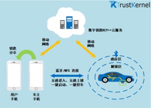 特斯拉引領(lǐng)數(shù)字鑰匙革命 智能出行的未來(lái)與上海信息服務(wù)的燃眉之急